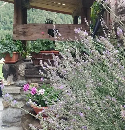 Il Canto Del Bosco * Valpelline