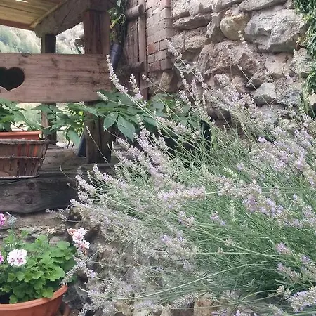 Il Canto Del Bosco Valpelline
