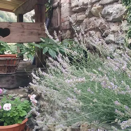 Il Canto Del Bosco Valpelline