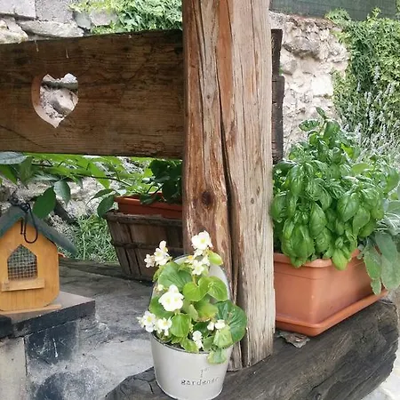 Il Canto Del Bosco