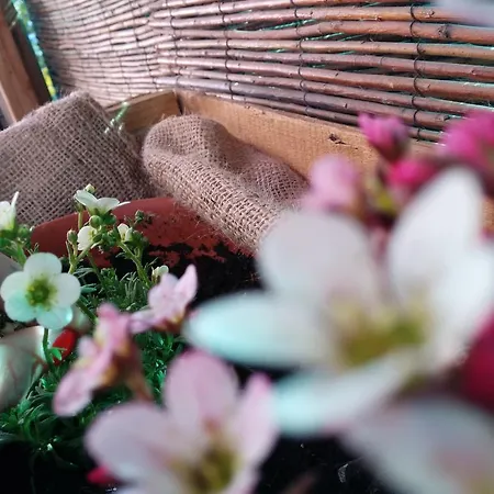 Il Canto Del Bosco Bed and breakfast Valpelline