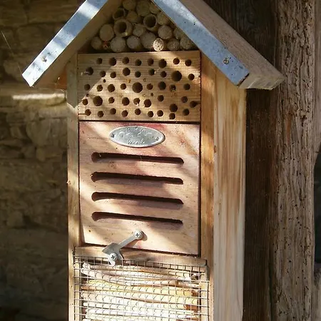 Bed & Breakfast Il Canto Del Bosco
